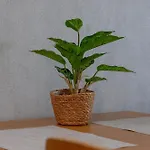 Klimatyzowane Z Balkonami We Wladyslawowie By Renters Władysławowo